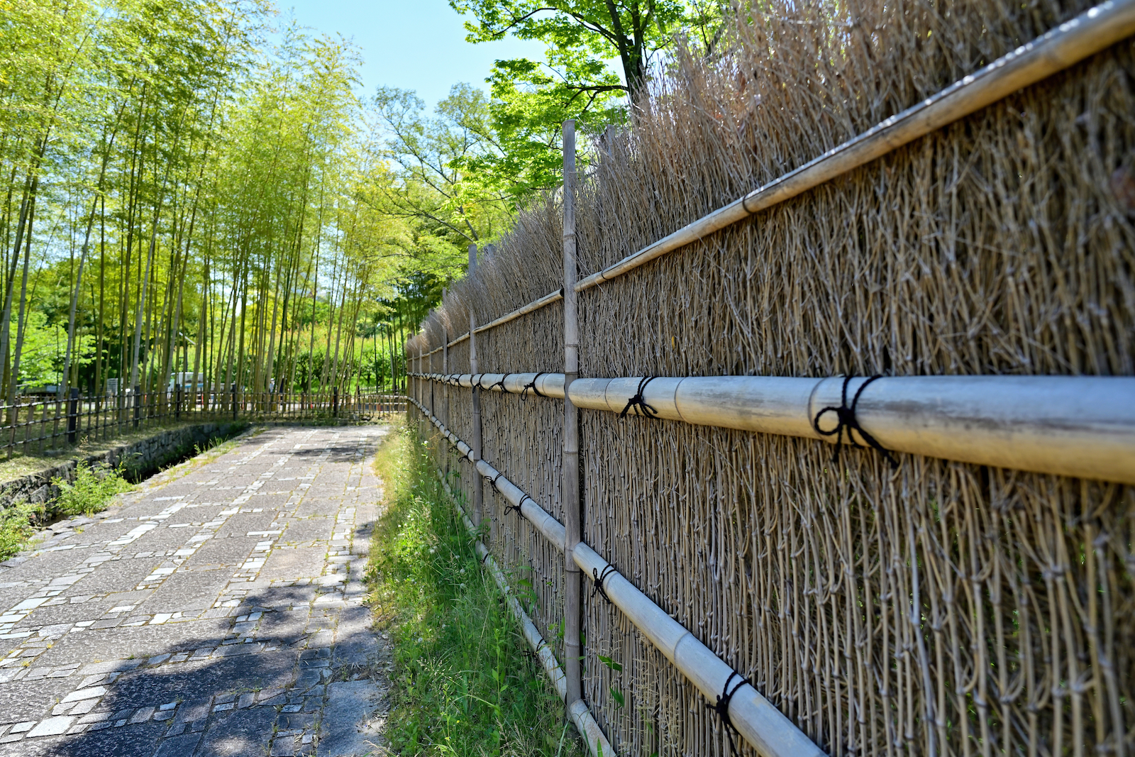 bamboe matten
