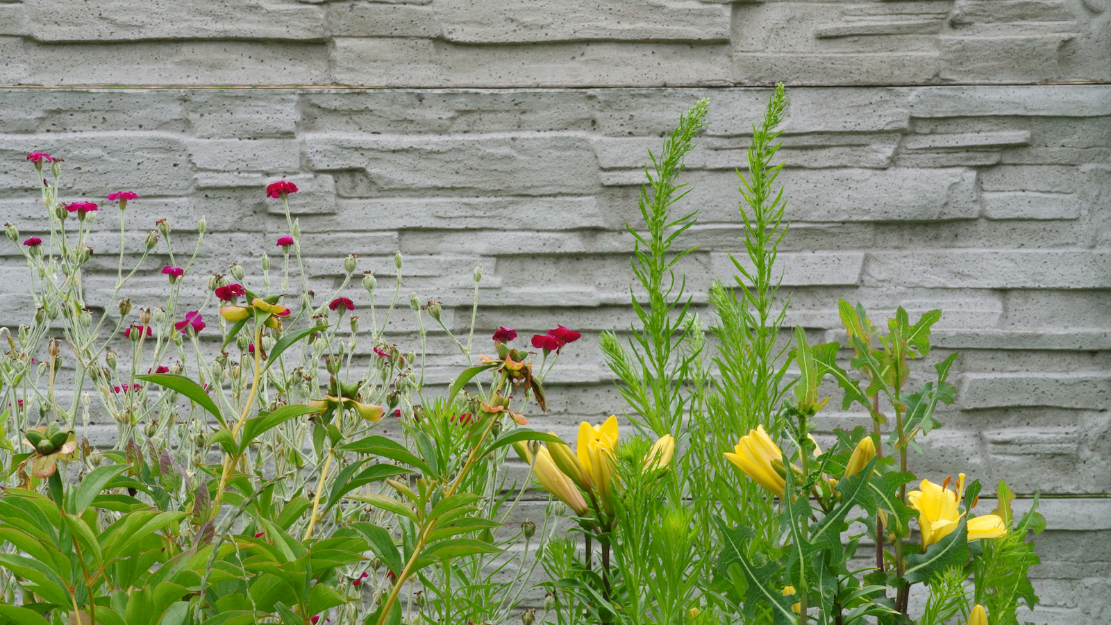 Decoratieve betonnen tuinafsluiting