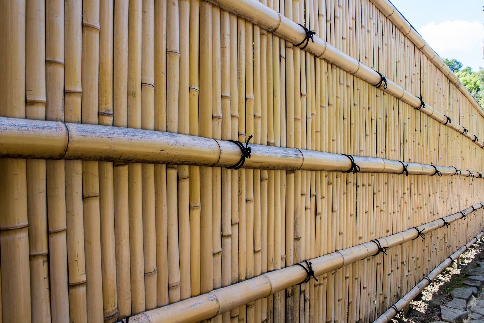 bamboe afsluiting